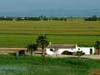 2. And these are ricefields in the Ebro Delta. 