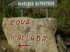 33. You can also visit ancient cave paintings while birding in the Cardó massif.  
