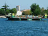 42. One of the river ferries in the Ebro Delta.  