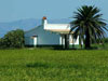 43. A house in a ricefield in the Ebro Delta.  