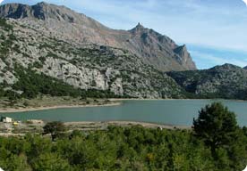 Birding and looking over the Cuber reservoir towards Puig Major.