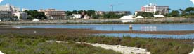 The salines (saltpans) at Colònia de Sant Jordi can hold some interesting waders and the odd gull or two.