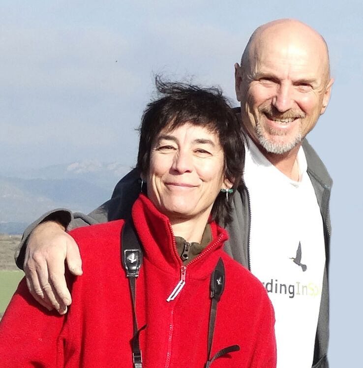 Steve West Steve West